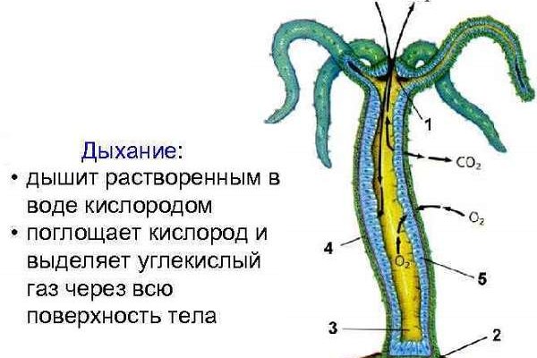 Кракен вывод средств