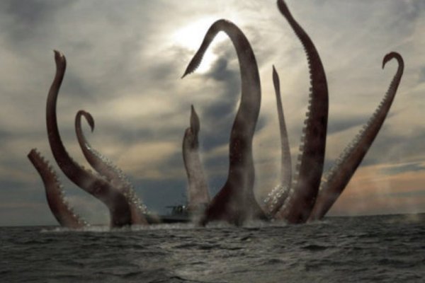 Kraken гидра